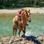 Fran Stock - @fran_stock - Instagram