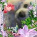 Frances Stratton - Facebook