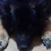 Frances Streeter - @frances.streeter - TikTok