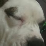 frankie streeter - @streeterfrankie2 - Instagram