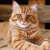 Franklin Stricker - Facebook