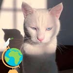 Fran Striker - @franstriker - Instagram