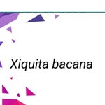 Xiquitabacana - @franstuartsousa - Instagram