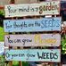 Fran Talbot - Facebook