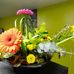 Frances Talbot - Facebook