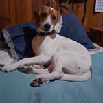 Fran Velasquez - @franvelasquez343 - Instagram