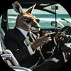 Fran Velasquez - @franvelasquez39 - TikTok