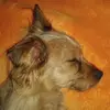 Frank Waldmann245 - @frankwaldmann245 - TikTok