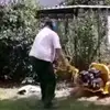 waldmannfrank2 - @waldmannfrank2 - TikTok