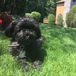 Frankie Weinstein - @frankie_weinstein - Instagram