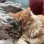 Frank and Whelan - @frankandwee - Instagram