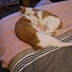 Fran Wright - Facebook