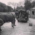 Fran Young - @fran616 - Instagram
