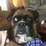 Fran Young - @fran.young.7921 - Instagram