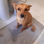 Franca Testa - Facebook