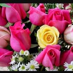 Franca Testa - Facebook