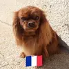 France Meyer826 - @francemeyer826 - TikTok