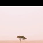 Frances Abramson - @limsbilkay - Instagram
