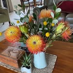 Frances Ackerman - @francesackerman58 - Instagram