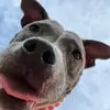 Frances Ackerman(n) - @frances.ackermann157 - TikTok