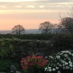 Frances Addison - @francesaddison6 - Instagram