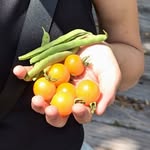 Frances Appleton - @francesappletonmusic - Instagram