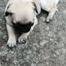 Francis Aragon - Facebook