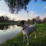 Francis Atwell - @sragihjoolz - Instagram
