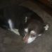 Frances Austin - Facebook
