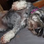 Frances Marge Avery - @francesavery0316 - Instagram