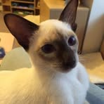Frances Ayers - Facebook
