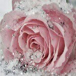 Frances Barnhardt - @call_me_faatima - Instagram