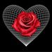 Frances Barrett - Facebook