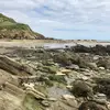 Mmmbop! - @frances.barrett - TikTok