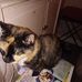 Frances Barry - Facebook