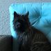 Frances Bartley - Facebook