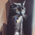 Frances Batchelor - @fabatchelor - Instagram