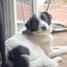 Fran Bateman - Facebook