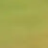 Frances Beardsley - @frances.bardsley.co.uk - TikTok