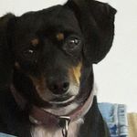 Frances J. Beaverson - @francesj.beaverson - Instagram