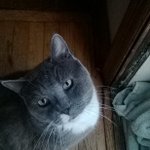Frances Jane Cooper Beaver - @mamacat1951 - Instagram