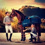 Bemer Horse-Set France - @bemerhorseset_france - Instagram