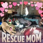 Frances Beemer - Facebook
