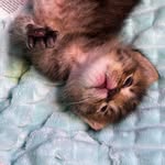 Francesbella Hudson - @francesbella - Instagram