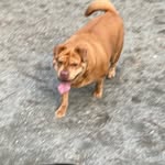 ClaireBear Frances Bender - @claireisabear2021 - Instagram