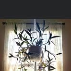 Frances Berryman - Facebook