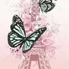 Beverly Frances - @beverlyfrances22 - TikTok