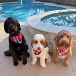 Frances Wooten Bigler - @franniebig - Instagram