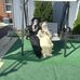 Frances Billups - Facebook