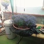 Frances M Bird - @birdfeancesm - Instagram